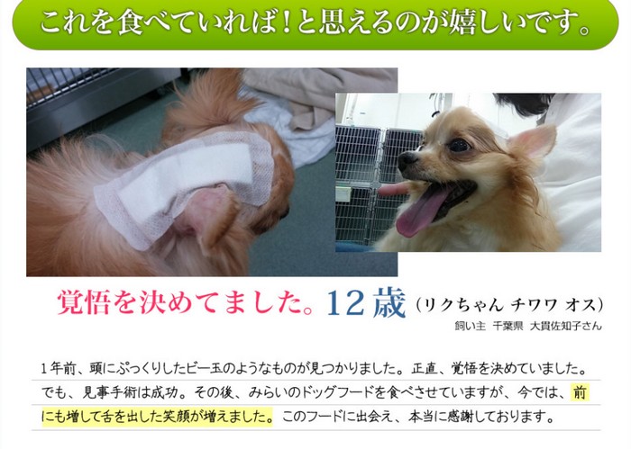 これを食べていれば!と思えるのが嬉しいです。覚悟を決めました。12歳(リクちゃん チワワ オス)1年前、頭にぷっくりしたビー玉のようなものが見つかりました。正直、覚悟を決めました。でも、見事手術は成功。その後、みらいのドックフードを食べさせてあますが、今でも、前にもまして舌を出した笑顔が増えました。このフードに出会えて、本当に感謝しております。