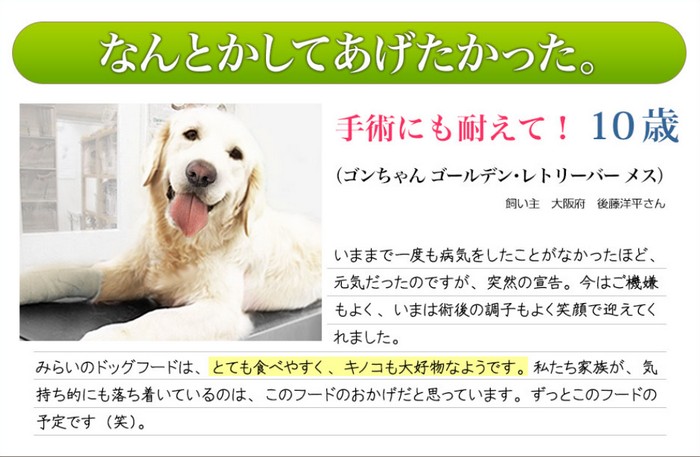 何とかしてあげたかった。手術にも耐えて!10歳(ゴンちゃん ゴールデン・レトリーバー メス)今迄、一度も、病気をしたことがなかったほど、元気だったのですが、突然の宣告。今はご機嫌も良く、今は術後の調子も良く笑顔で迎えてくれました。みらいのドックフードは、とても、食べやすく、キノコも大好物なようです、私たち家族が、気持ち的にも落ち着いているのは、このフードのおかげだと思っています。ずっとこのフードの予定です(笑)。